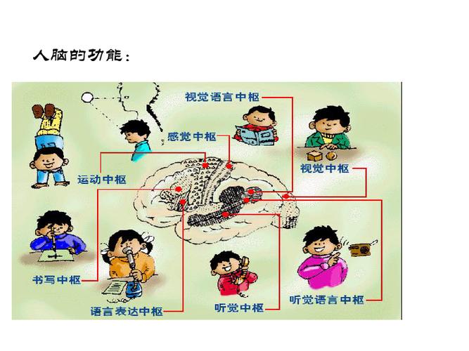 提升游戏技巧:王者荣耀无伤害教学-第2张图片-益智游 提升游戏技巧:王者荣耀无伤害教学-第2张图片-益智游