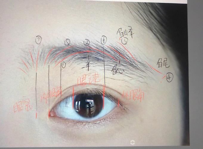 王者荣耀瓶子教学下的凯英雄策略-第1张图片-益智游 王者荣耀瓶子教学下的凯英雄策略-第1张图片-益智游