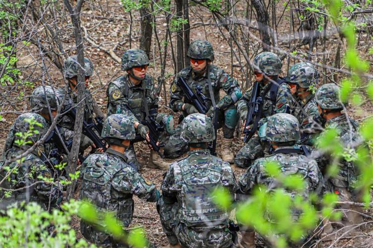 深入探索:王者荣耀木偶教学记-第4张图片-益智游 深入探索:王者荣耀木偶教学记-第4张图片-益智游