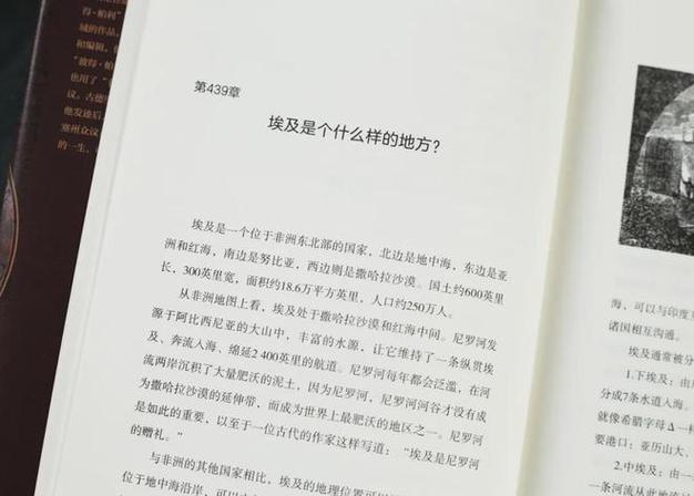 深入了解王者荣耀:麦哲伦的战术策略与技巧解析-第2张图片-益智游 深入了解王者荣耀:麦哲伦的战术策略与技巧解析-第2张图片-益智游