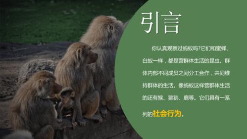 王者荣耀召唤鸟教学:策略与技巧-第1张图片-益智游 王者荣耀召唤鸟教学:策略与技巧-第1张图片-益智游