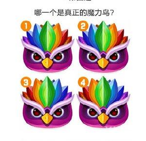 王者荣耀中的魔力鸟战术教学-第2张图片-益智游