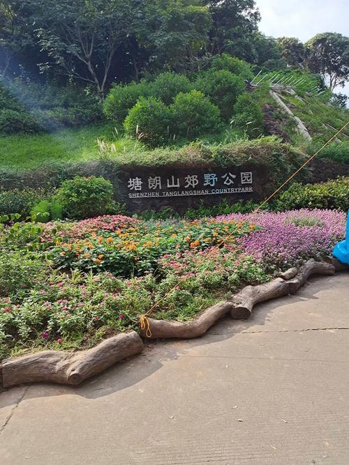 深圳塘朗山登山攻略,深圳塘朗山登顶要多久-第4张图片-益智游 深圳塘朗山登山攻略,深圳塘朗山登顶要多久-第4张图片-益智游
