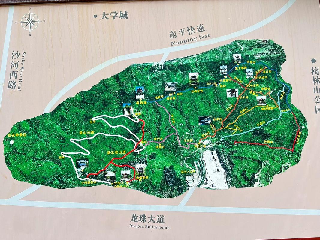 深圳塘朗山登山攻略,深圳塘朗山登顶要多久-第7张图片-益智游 深圳塘朗山登山攻略,深圳塘朗山登顶要多久-第7张图片-益智游