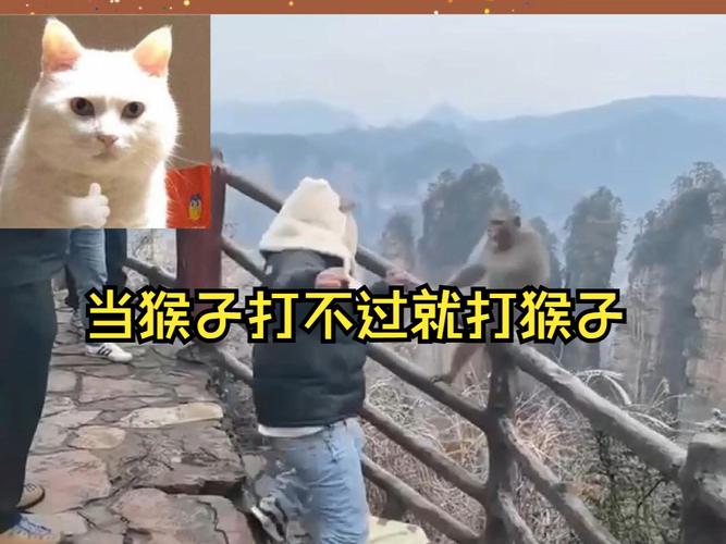 王者荣耀猴子教学瓶子,王者英耀猴子教学-第6张图片-益智游 王者荣耀猴子教学瓶子,王者英耀猴子教学-第6张图片-益智游