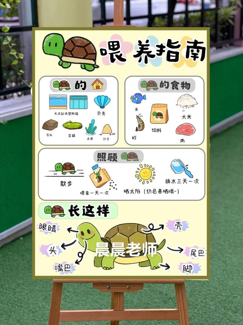 乌龟每天攻略,乌龟经验-第3张图片-益智游 乌龟每天攻略,乌龟经验-第3张图片-益智游