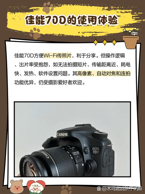 70d攻略的简单介绍-第5张图片-益智游 70d攻略的简单介绍-第5张图片-益智游