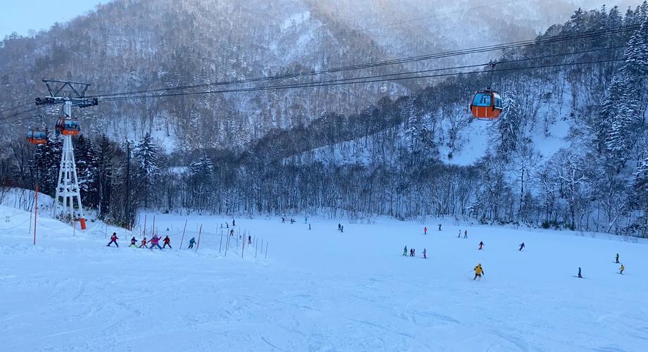 1月日本旅游攻略，2021年10月日本旅游-第6张图片-益智游