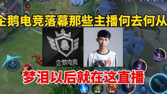 王者荣耀教学直播浣熊（王者荣耀直播课堂）-第4张图片-益智游