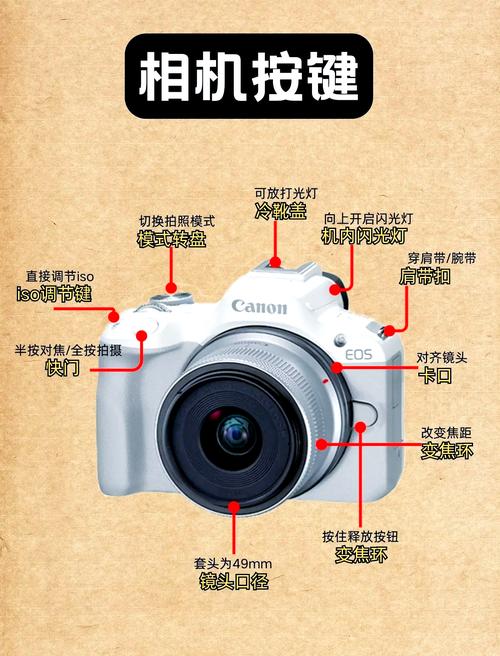 单反相机攻略(单反相机入门指南)-第2张图片-益智游 单反相机攻略(单反相机入门指南)-第2张图片-益智游
