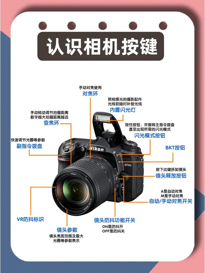 单反相机攻略(单反相机入门指南)-第3张图片-益智游 单反相机攻略(单反相机入门指南)-第3张图片-益智游