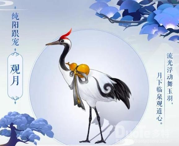 纯阳跟宠攻略,纯阳跟宠后续任务-第3张图片-益智游 纯阳跟宠攻略,纯阳跟宠后续任务-第3张图片-益智游