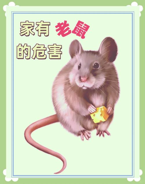 h恐惧攻略 - 恐惧20关-第5张图片-益智游