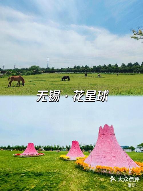 九龙湾攻略（九龙湾在哪）-第7张图片-益智游