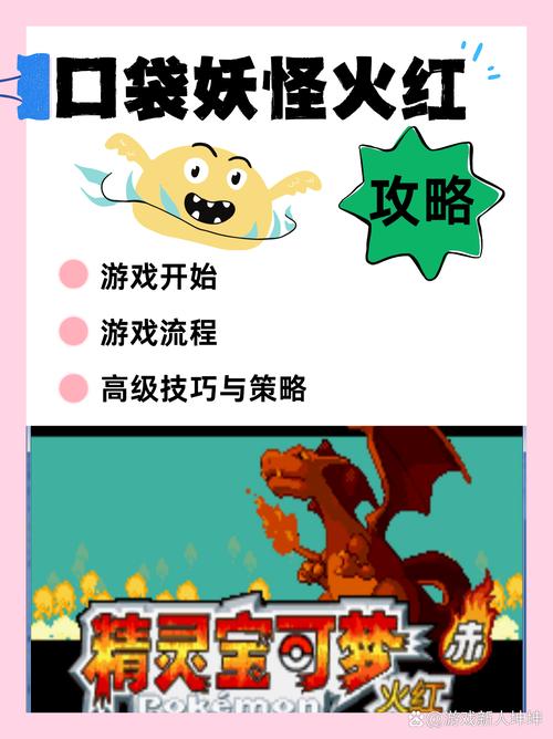 红玫瑰攻略(红玫瑰在哪)-第5张图片-益智游 红玫瑰攻略(红玫瑰在哪)-第5张图片-益智游