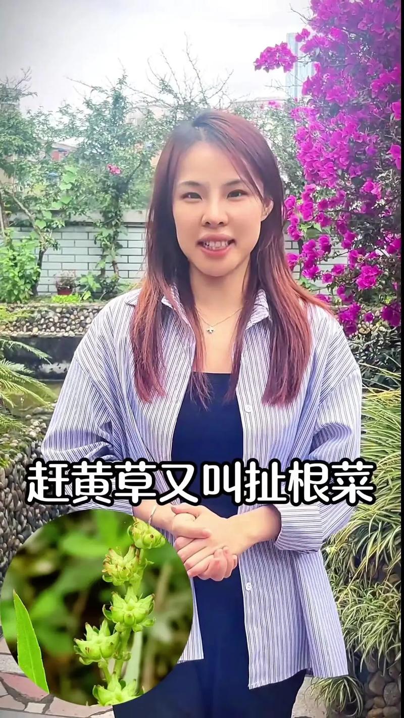 韦神王者荣耀教学(韦神教学水平)-第3张图片-益智游 韦神王者荣耀教学(韦神教学水平)-第3张图片-益智游