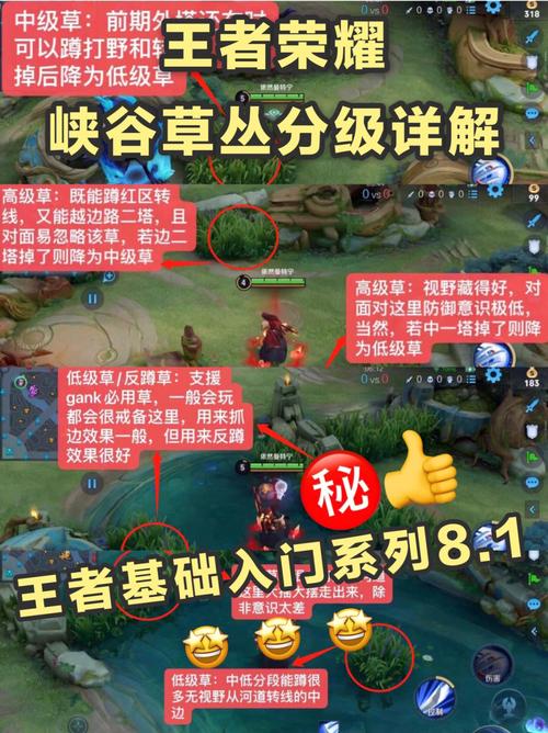 王者荣耀法师草丛玩法，王者荣耀法师草丛玩法视频-第6张图片-益智游