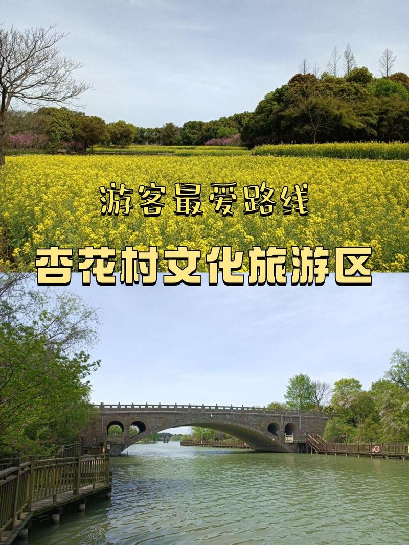 杏花村攻略（杏花村玩什么）-第3张图片-益智游