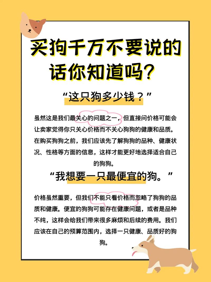 狗和骨头攻略(狗和骨头寓言故事)-第5张图片-益智游 狗和骨头攻略(狗和骨头寓言故事)-第5张图片-益智游