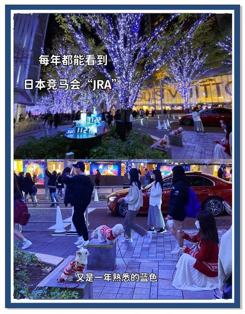 12月份日本旅游攻略(日本一月旅游)-第5张图片-益智游 12月份日本旅游攻略(日本一月旅游)-第5张图片-益智游