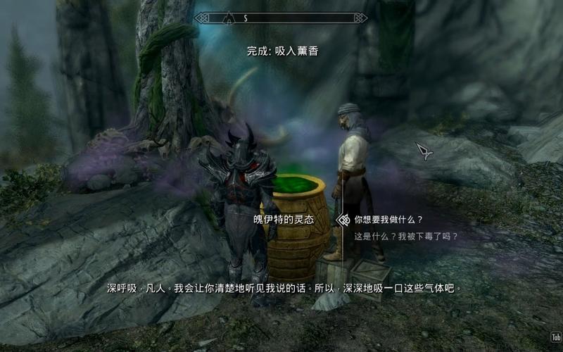 上古卷轴5双持攻略(上古卷轴5npc双持)-第4张图片-益智游 上古卷轴5双持攻略(上古卷轴5npc双持)-第4张图片-益智游